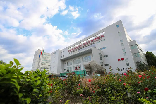 Peking University YOUAN Hospital: A Leading Medical Institution in Liver Diseases and Transplantation