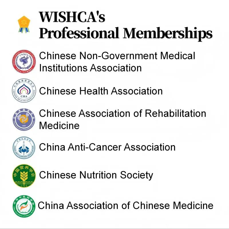 WISHCA | Gold Standard Shilajit Gummies | 75% Fulvic Acid & Ashwagandha | Pure Energy from the Himalayas(60ct)